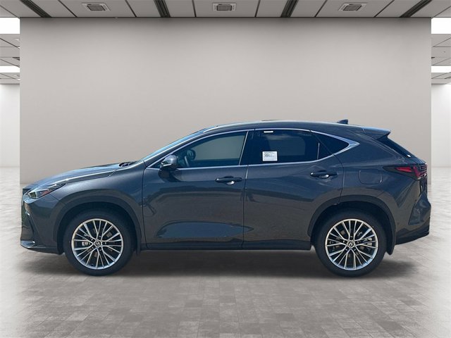 2025 Lexus NX 350 Luxury AWD photo 3