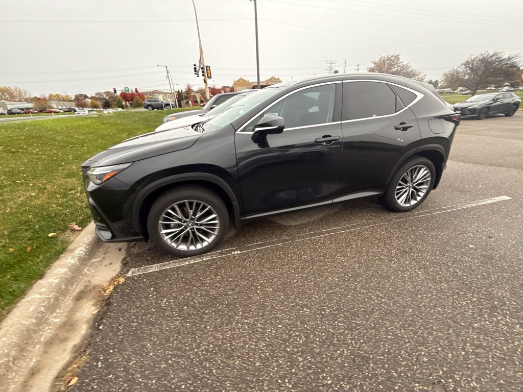 Used 2025 Lexus NX 350h Luxury SUV