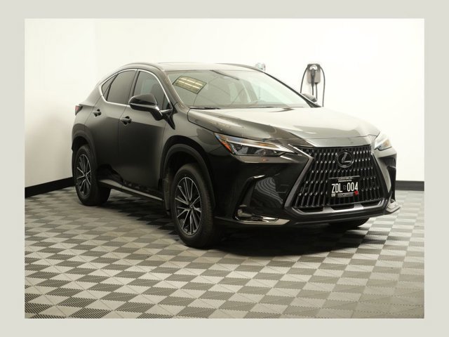 2025 Lexus NX 350h 350h AWD's photo