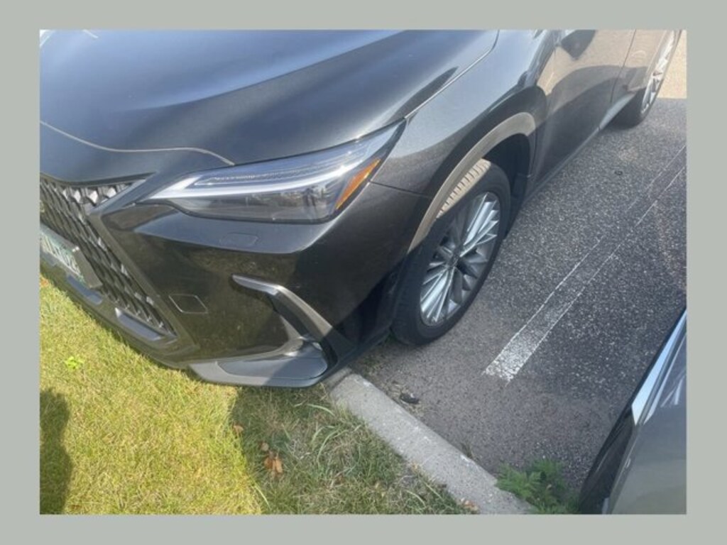 Used 2025 Lexus NX 350h Luxury SUV