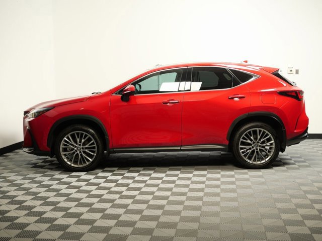 2025 Lexus NX 350 Premium photo 4