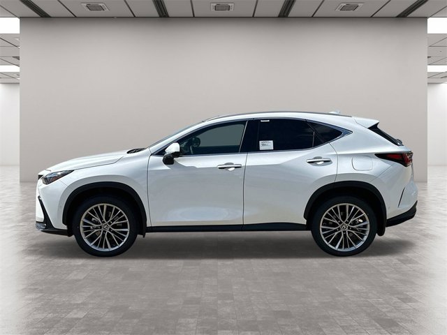 2026 Lexus NX 350 Luxury AWD photo 3