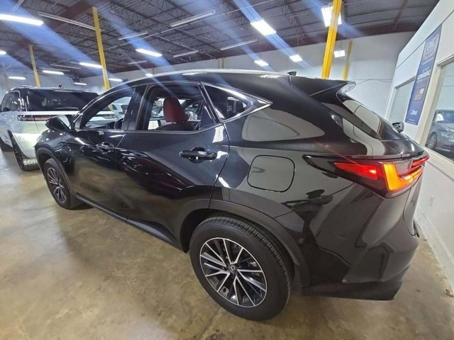 2024 Lexus NX 350h Luxury photo 2