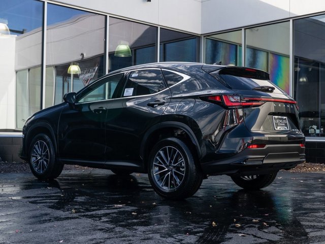 2026 Lexus NX Luxury photo 4