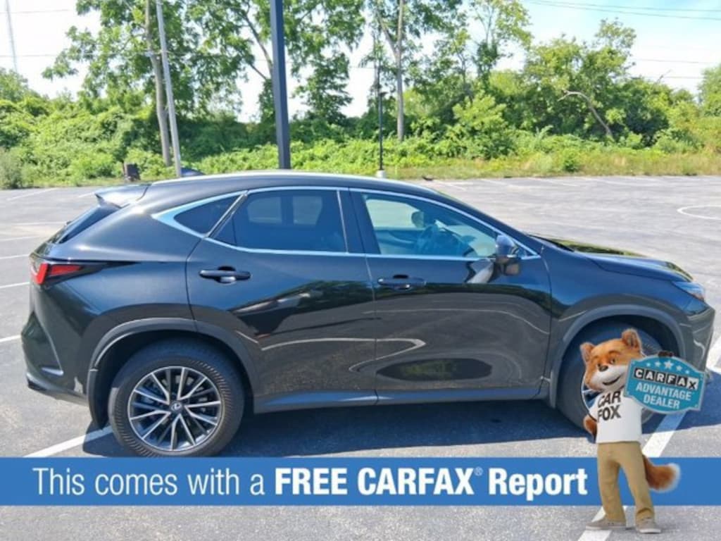 New 2024 Lexus NX NX 350 SUV