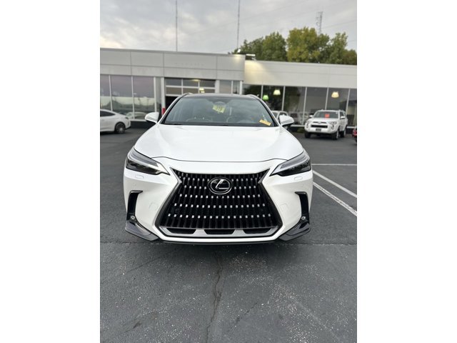 2024 Lexus NX 350 Luxury photo 2