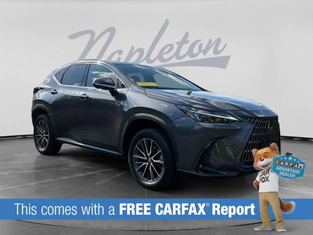 Used 2024 Lexus NX NX 350 SUV
