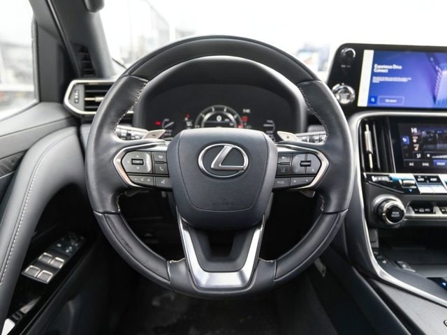 2024 Lexus LX Luxury - Photo 19