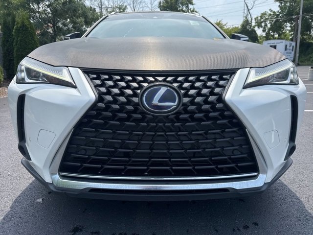 2021 Lexus UX 250h photo 2