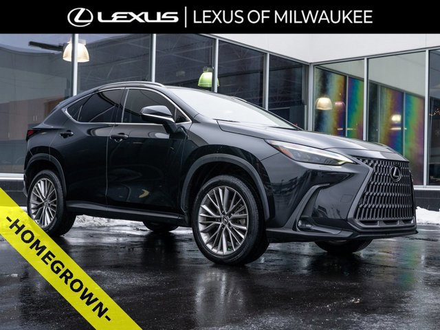2023 Lexus NX 350's photo
