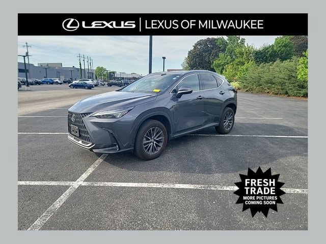 2024 Lexus NX 350 350 AWD's photo