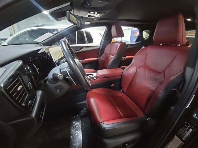 2024 Lexus NX 350h Luxury photo 3