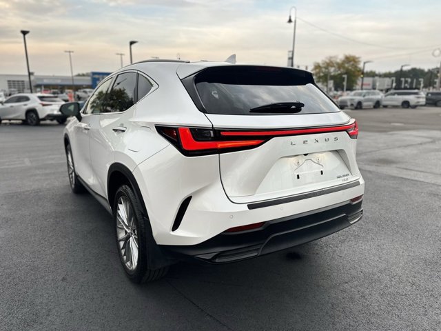 2024 Lexus NX 350 Luxury photo 3