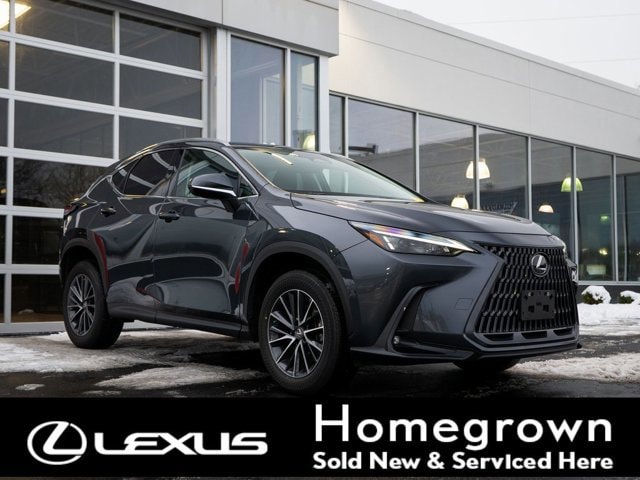 2023 Lexus NX 250's photo