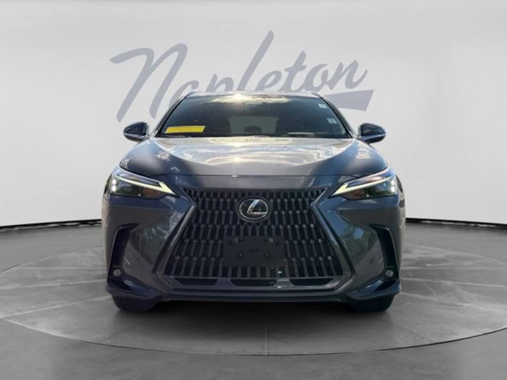 Used 2024 Lexus NX NX 350 SUV