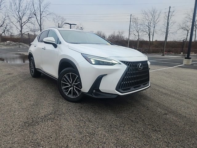 2024 Lexus NX 350's photo