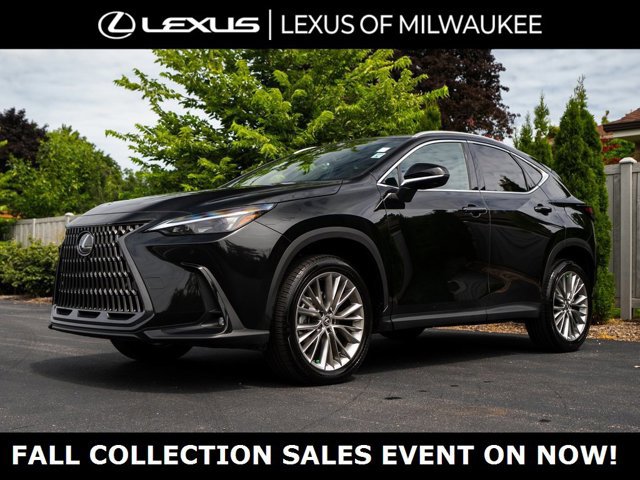 2025 Lexus NX 350 Premium photo 3