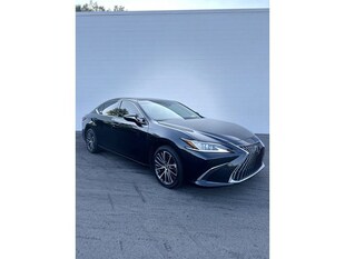 2023 LEXUS ES ES 350 Sedan