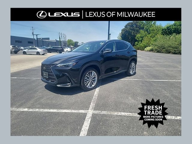 2025 Lexus NX 350h 350h Premium AWD's photo