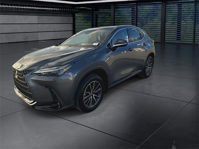 2024 Lexus NX 350h Premium photo 4