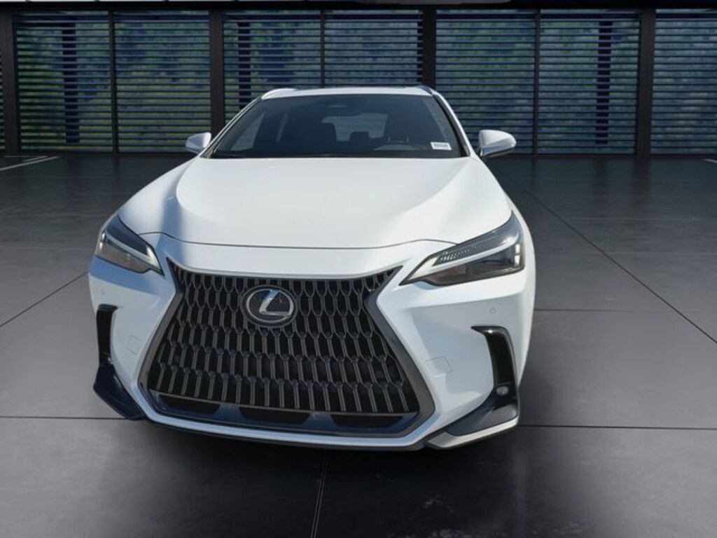 Used 2025 Lexus NX 250 250 Premium SUV