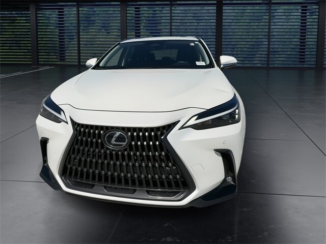 2024 Lexus NX 250 Premium photo 3