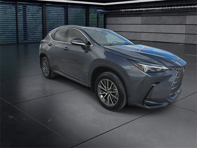 2022 Lexus NX 250 Premium photo 2