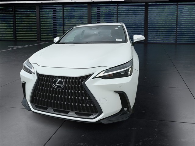 2025 Lexus NX 250 Premium photo 3
