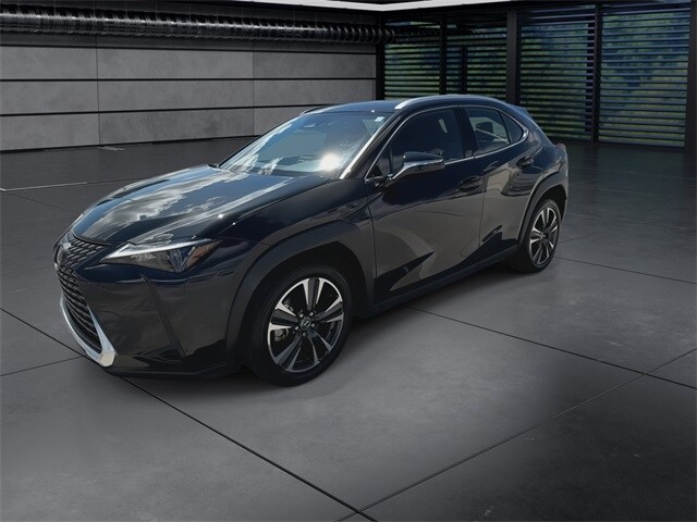 2025 Lexus UX photo 4