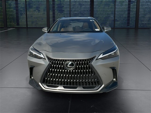 2025 Lexus NX 250 Premium photo 3