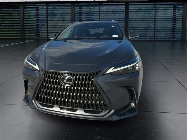 2024 Lexus NX 350h Premium photo 3