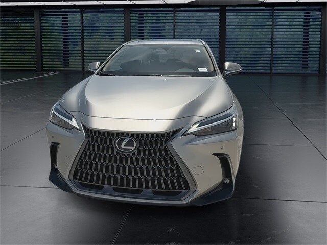 2024 Lexus NX 250 Premium photo 3
