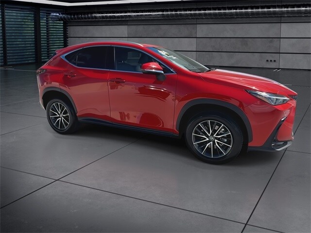 2024 Lexus NX 250 Premium photo 2