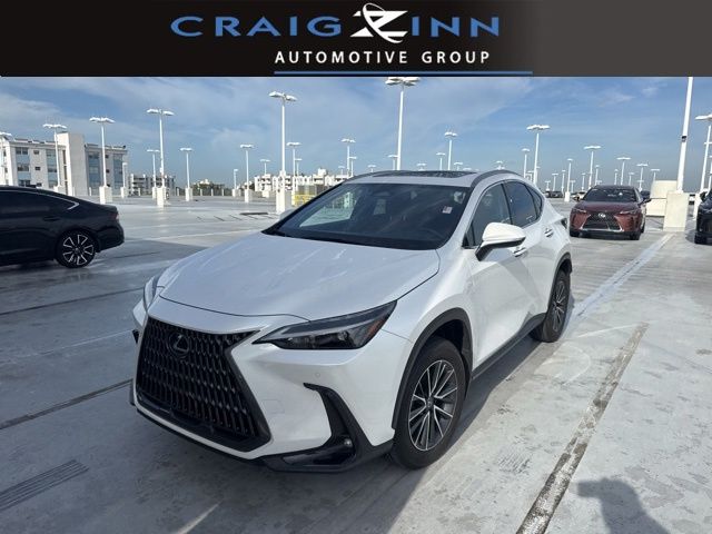 2025 Lexus NX 350h 350h AWD's photo