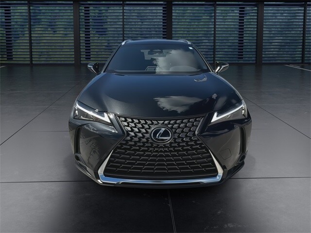 2025 Lexus UX photo 3