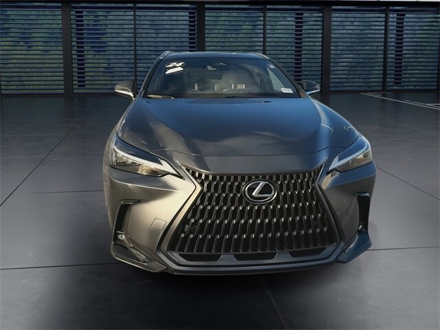 2024 Lexus NX 350h Premium photo 3
