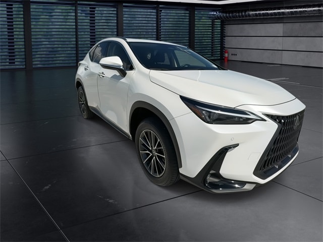 2024 Lexus NX 250 Premium photo 2
