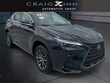LEXUS NX 250