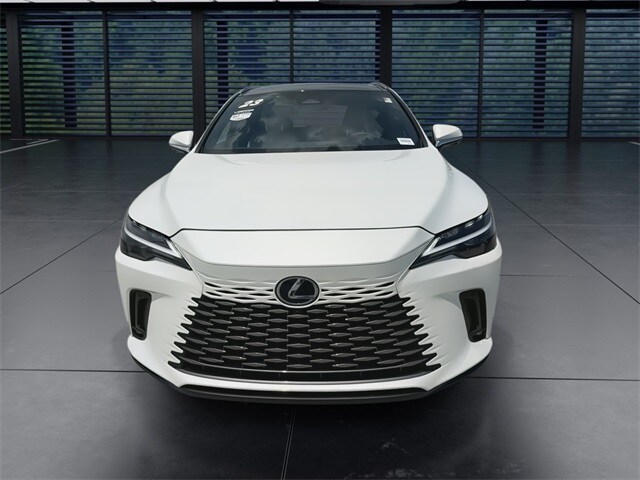 2023 Lexus RX 350 Luxury photo 3