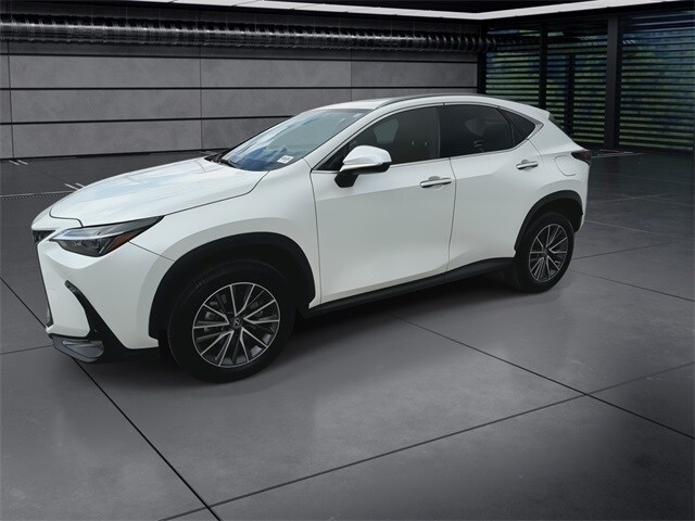 2025 Lexus NX 250 Premium photo 4
