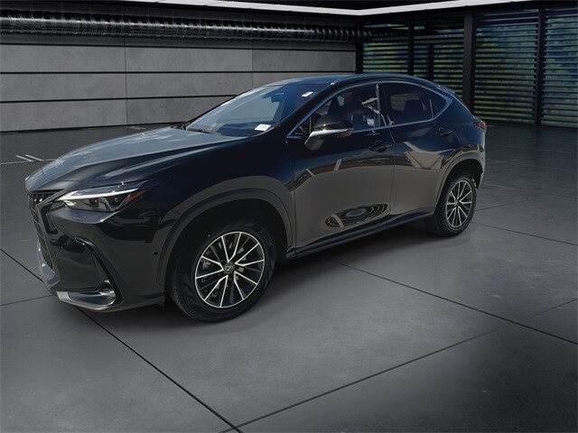 2024 Lexus NX 350h Luxury photo 4