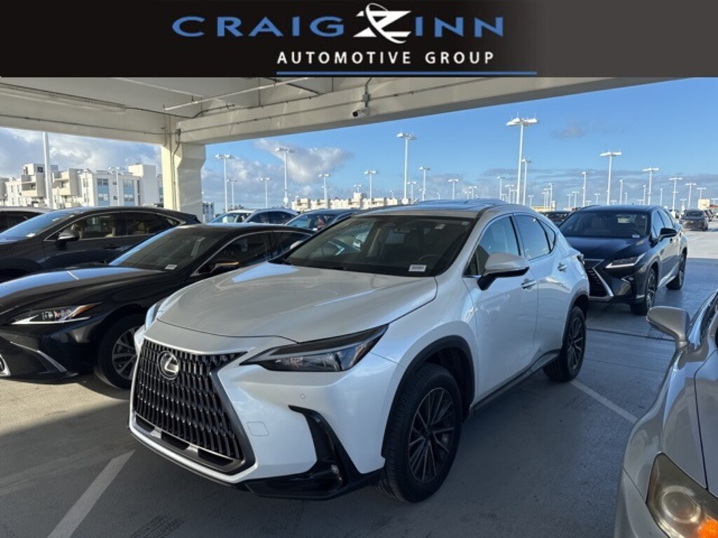 Used 2025 Lexus NX 250 250 Premium SUV