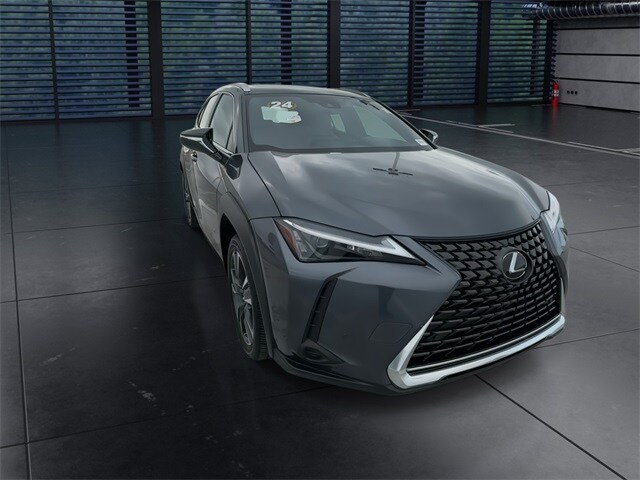 2024 Lexus UX 250h photo 2