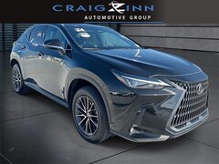 2024 LEXUS NX 250 250 SUV