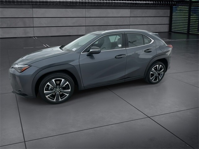 2024 Lexus UX 250h photo 4