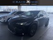 LEXUS NX 250