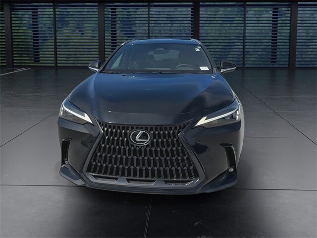 2023 Lexus NX 250 Premium photo 3