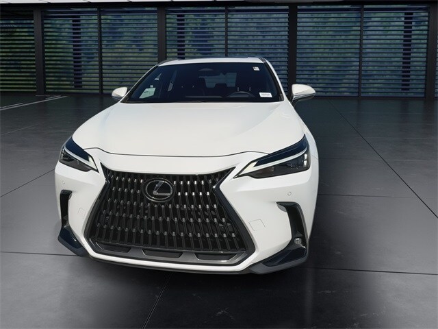 2023 Lexus NX 350h Premium photo 3