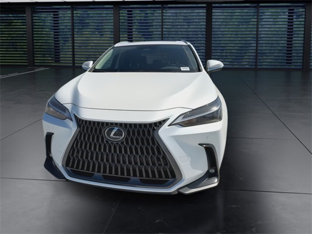 Used 2025 Lexus NX 250 250 Premium SUV