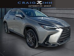 2024 LEXUS NX 250 250 Premium SUV